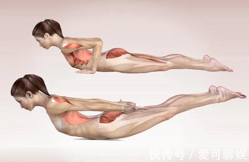 背部|练瑜伽，如何加强下背部力量？这8个动作超好用！（附解剖图）