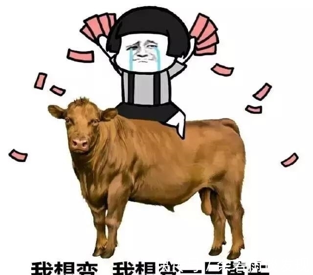 |幽默笑话：卖了这么多年红烧牛肉面，牛只受了一点皮外伤!