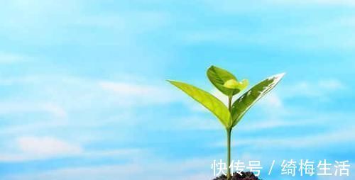 宝妈|孩子为什么夜里总醒?原因其实很简单,知道的父母并不多!