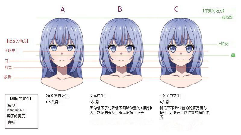 绘画!人体头部轮廓怎么画?教你画出好看头部的诀窍!