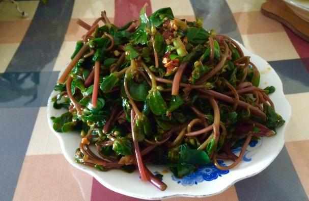 大山珍|農村不起眼的9大山珍,認識4個以上,說明你是真正的農村人!