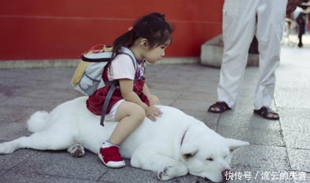 三次元|二次元对决三次元,本以为势均力敌,但看完假面小萝莉我选前者胜