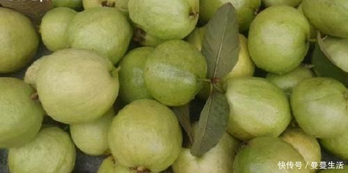 番石榴番石榴|聪明的女性都在吃3种食物,滋润肌肤、延缓衰老,早吃早好