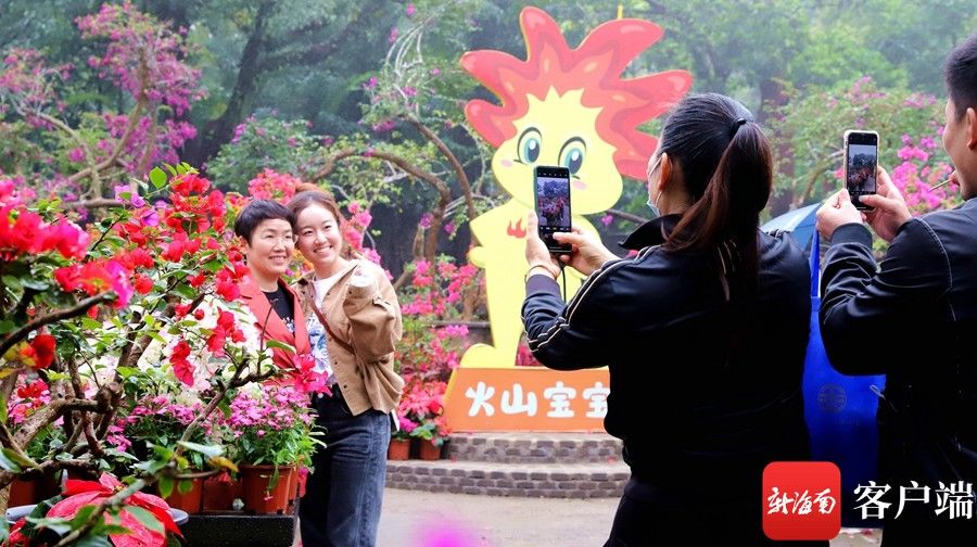 海南|今年春节旅游哪里火？海南等省市迎国内游市场小阳春