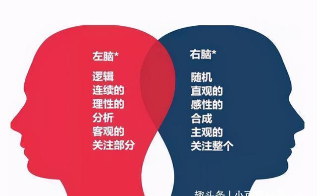 记忆力|孩子有以下特征,说明右脑发达,好好栽培很可能成为“学霸”