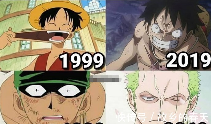 和之国|草帽团从初登场到和之国的变化,山治乔巴画风都变了,而索隆最惨