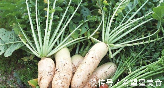 羊肉|萝卜有小人参之称,这三种做法,更容易让身体吸收营养!