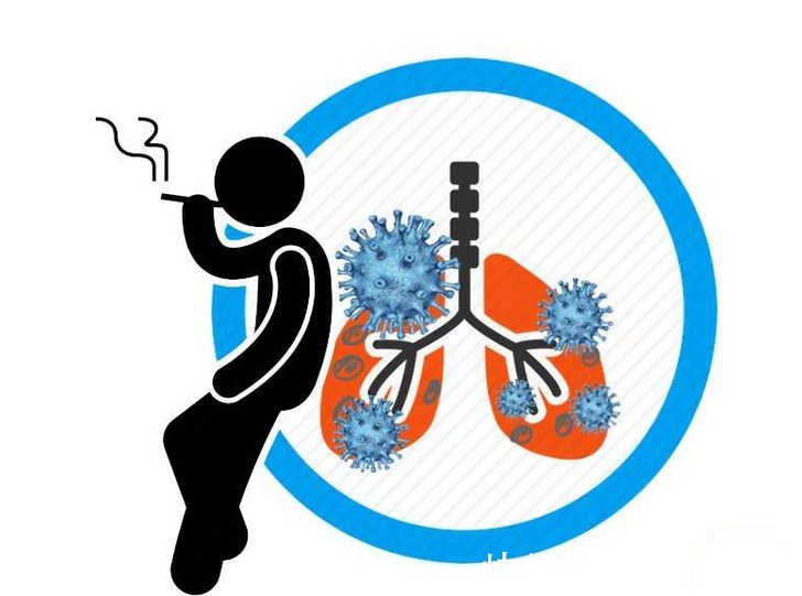 心脑血管|血管老化,背后有因!6个因素要能避开,血管不会受伤