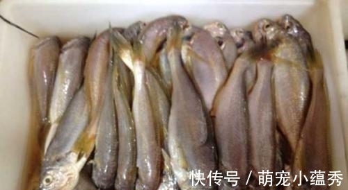 去市场买鱼，聪明人专挑这4种，好吃又便宜，鱼贩子都夸你是行家