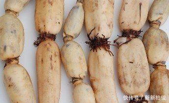 丝瓜|子宫肌瘤的“冤家”来了，女人若经常吃，可以让子宫更健康