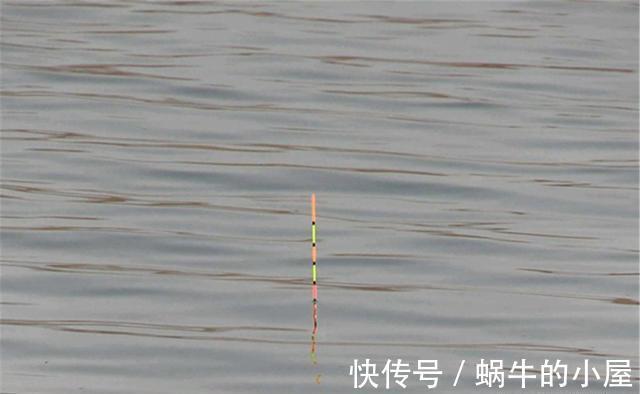水面|浮漂“翻身”快慢不同,对钓鱼有哪些影响?翻身快,一定好吗?