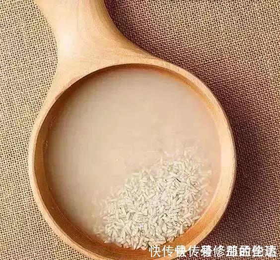 叶片|为什么你养的君子兰始终不开花?问题出在浇水上,四种水轻松化解