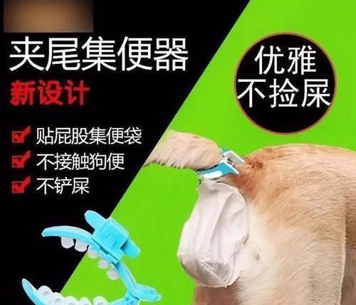 沙雕|“求求你们别买这些沙雕的东西了！”差点笑死在屏幕前，哈哈哈哈