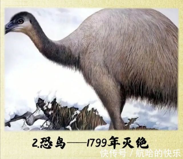 奥特曼|爆笑神评丨奥特曼灭绝了?光消失了?