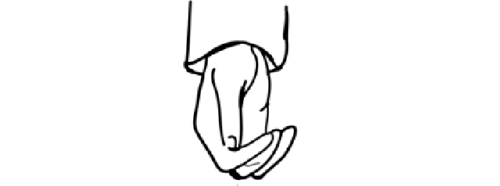 美景$春意繁盛,愿你不负美景良辰,不负岁月情深