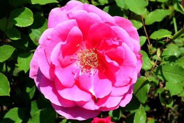 懂得@身上有3个特质的人,不要小看,将来能成就大事!