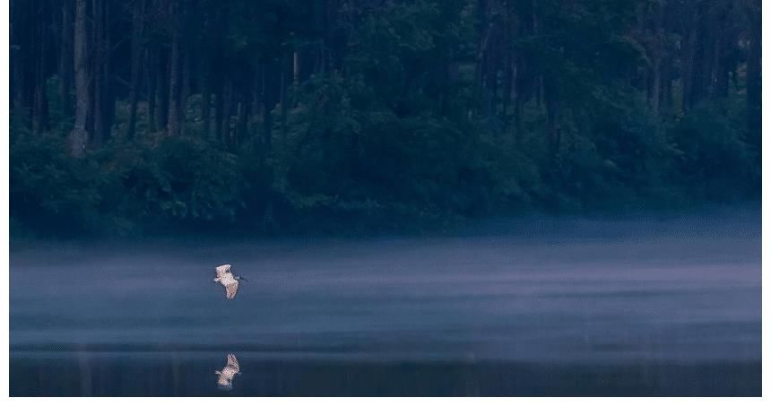 星座|这三大星座非常善于伪装自己，但却很有实力