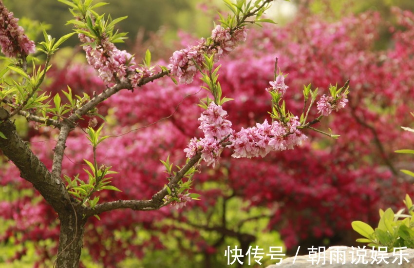 妻子|非常“虚伪”的四个生肖男，经常对妻子乱发脾气，却对外人很好