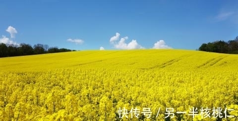 运势|9·24-9·29这3大生肖运势大发，生意兴隆赚到很多钱