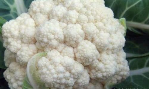 体质|最适合秋天排毒吃的3种食物,美容养颜,改善体质,排毒燃脂