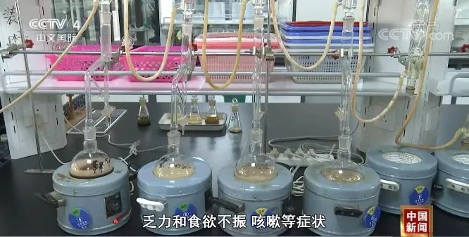 康复期|应对德尔塔毒株,中医药仍有效!