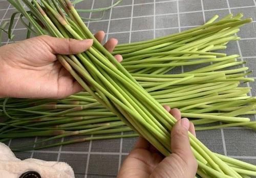 蒜苔|买蒜苔时,挑粗的还是细的好老菜农说漏了嘴,以后别乱买了