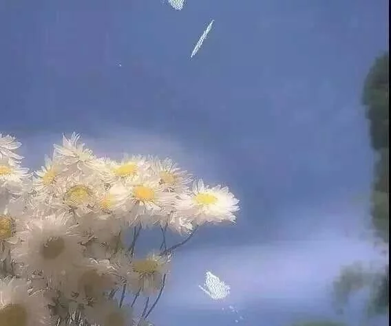 正能量励志向上的说说,因为不够好所以才要努力