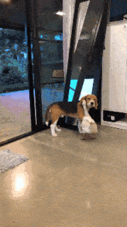 |搞笑GIF趣图有这样的闺蜜真好,姑娘好好珍惜吧。