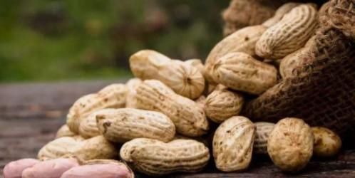 天然“养胃王”找到,不是小米、不是南瓜,每天吃它,胃病远离你