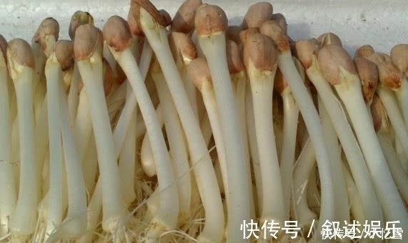 宿便|女人不吃它就可惜了,隔天拉出黑臭宿便,越吃越瘦,色斑也消失了