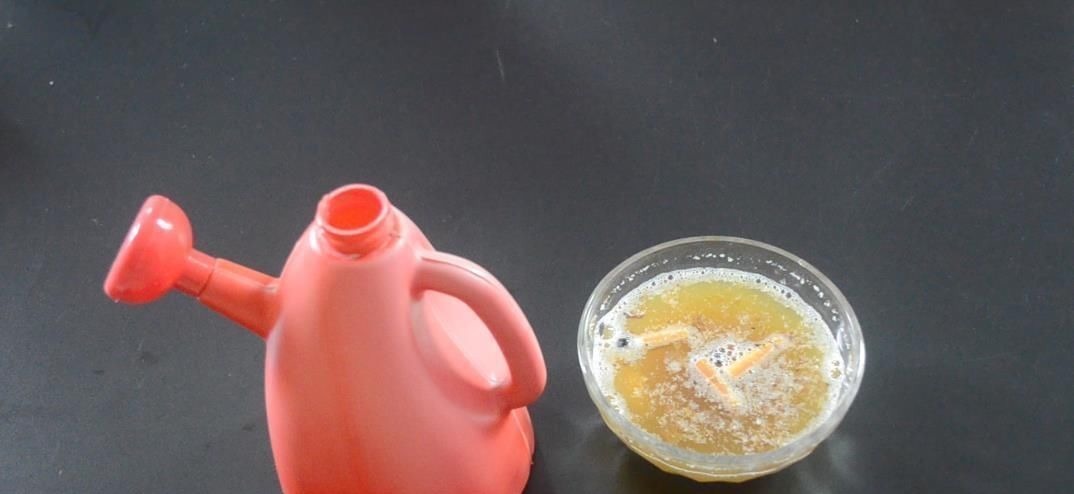 烟头加洗衣粉用水泡一下, 没想到还有这个作用, 看完你会感谢我的