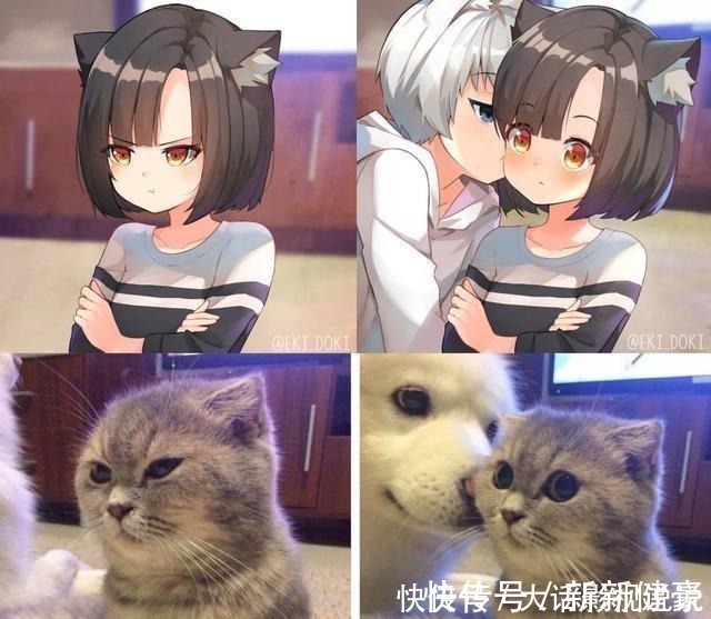 猫娘乐园|万物皆可“拟人化”,躲过可爱的舰娘和机车娘,却羡慕猫狗的爱情