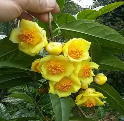 谁若见到这“东西”，请把双手放在口袋里，因为价值不允许你乱来