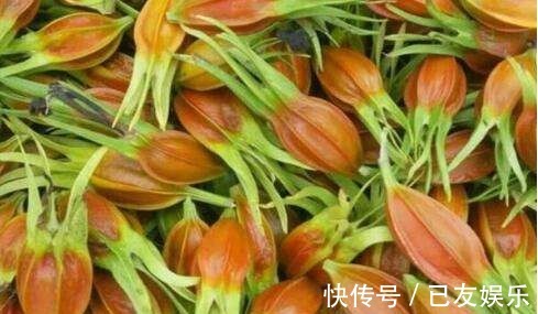 抗衰老|女性常吃此物，不贫血，没白发，不近视，抗衰老，清洁血液