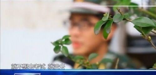孩子们|为什么以前常见的“网瘾少年”，现在少了很多？一网管道出实情