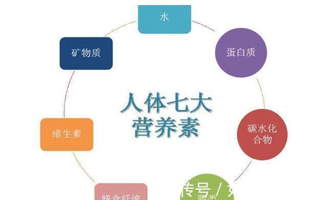 孩子|孩子的身高需要管理!抓好3个关键因素,矮个父母也能养出高个孩