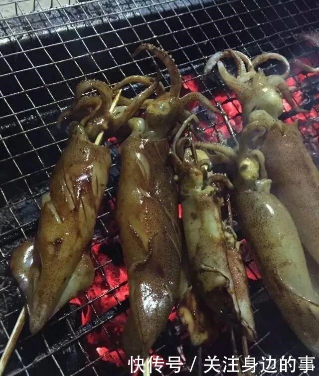 东山海鲜界的第一网红小管,究竟有多好吃!