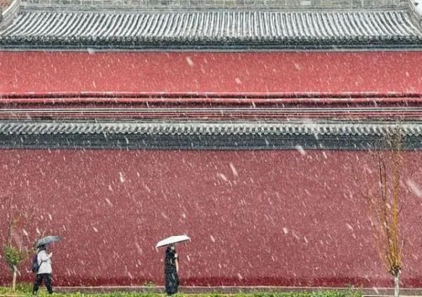 冻柿子$今日大雪 | 邂逅最美的冬天