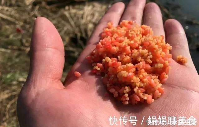 浮漂|小杂鱼闹窝真是烦!学会六招,让你轻松垂钓