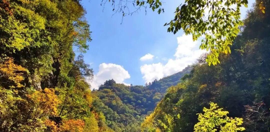 金丝峡|陕南的这座峡谷，藏着秋冬两季最梦幻的美景~