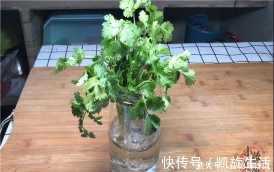 塑料袋|原来保存放半年的香菜这么简单,教你饭店的诀窍,一年只用买一次