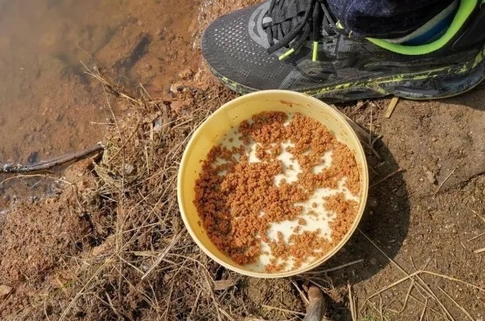 野钓|连竿之后就停口,到底哪出了问题给,老钓说出了实情!