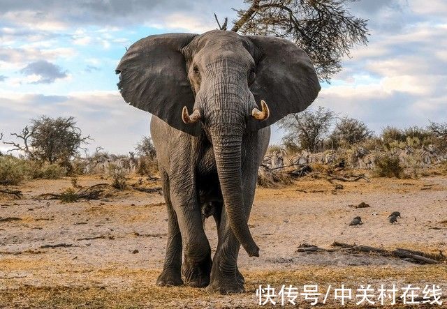 处理器|大厂争相布局ISP 这会成为国产芯片的新起点吗