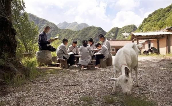 隐居者|终南山第一女隐士，85岁高龄连续打坐108天，称能与佛祖“交流”