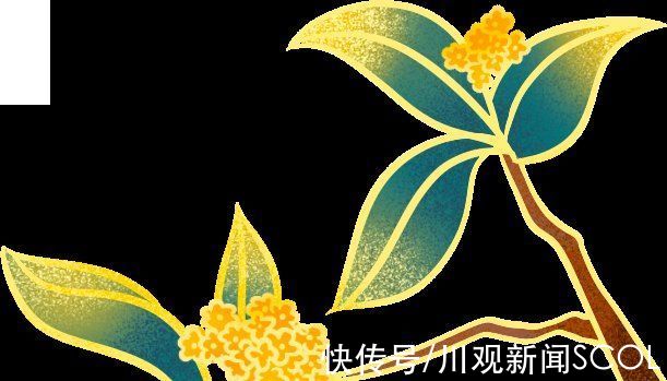 花花“视”界︱为有暗香来！奉上成都冬日寻“香”赏梅攻略