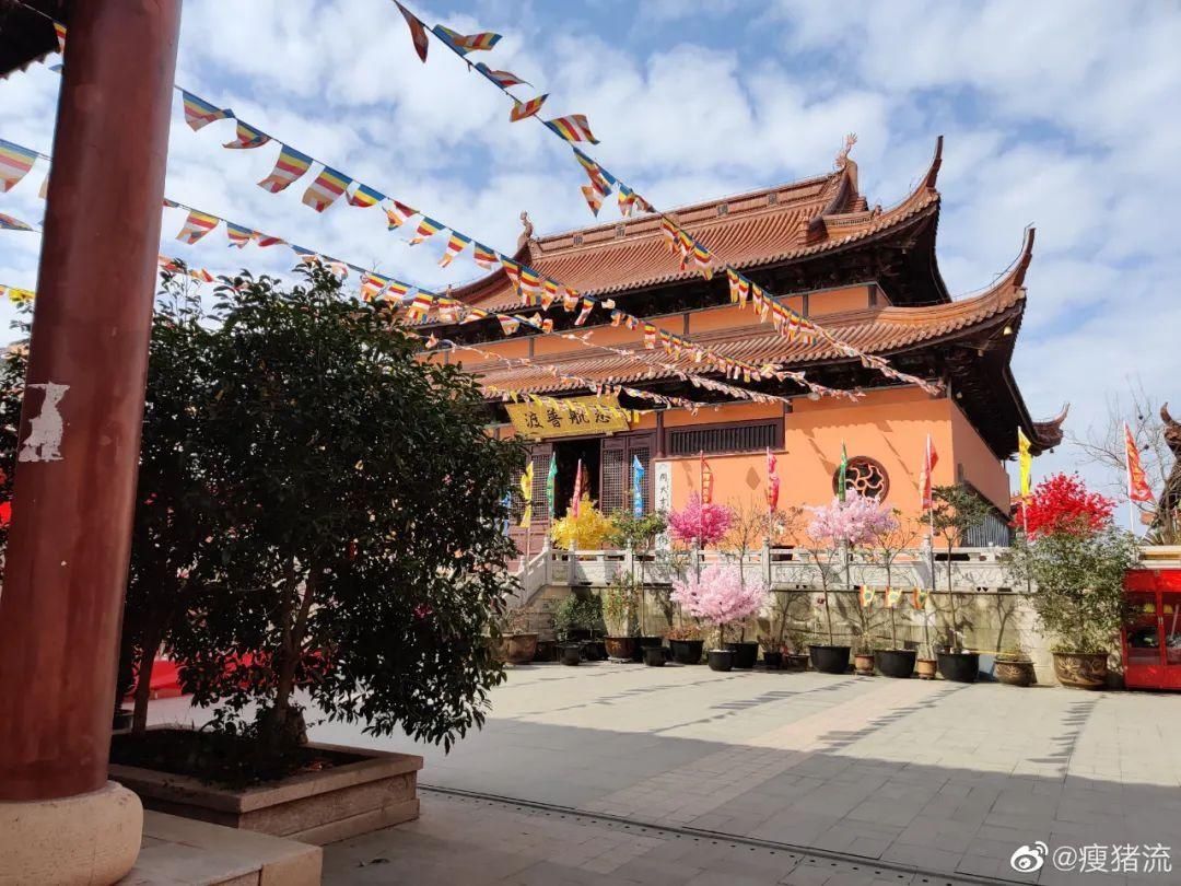 老年|留松过大年丨松江这些红红火火的地方，你去打卡了吗？