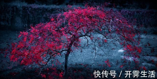 大明妖孽#5本主角智商如妖的网络小说推荐,剧情烧脑,布局天下