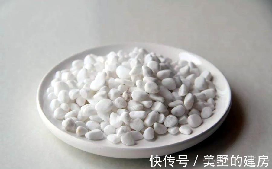 盘点|养花加点料,盘点四大好用的养花小“料”,你用过吗?