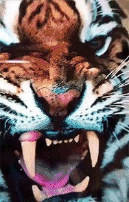 |搞笑GIF:姑娘 你这一字马厉害了 把旁边的小哥都吓跑了