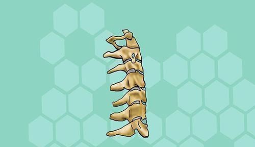 脑部|头晕乏力，可能脑供血不足身体出现异常表现，不能再拖